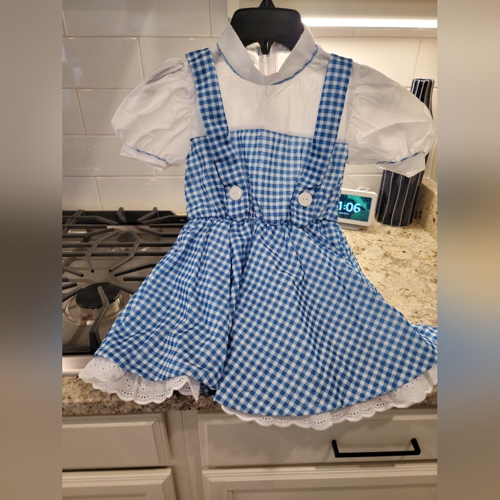 Excellent Condition!!! Kids Dorothy Costume with all the Props.Great for Photos!